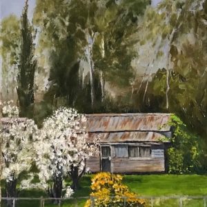 Outback home on the Water